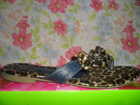 RASTEIRA VIA BIRIGUI