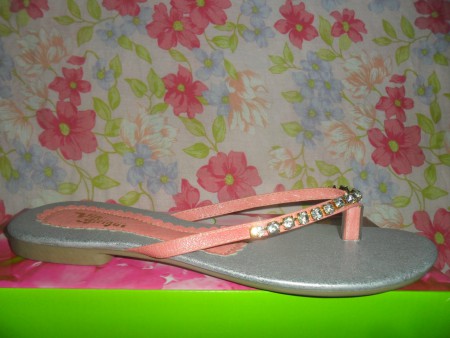 RASTEIRA VIA BIRIGUI